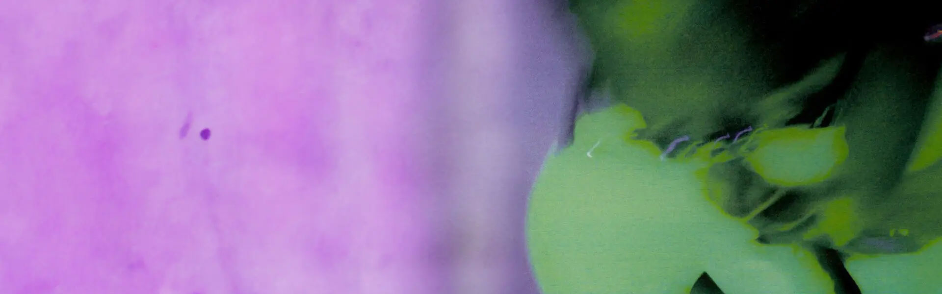 Sp5der-Banner
