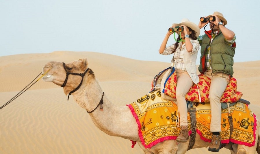 Best Wildlife Sanctuaries in Rajasthan for Nature Lovers