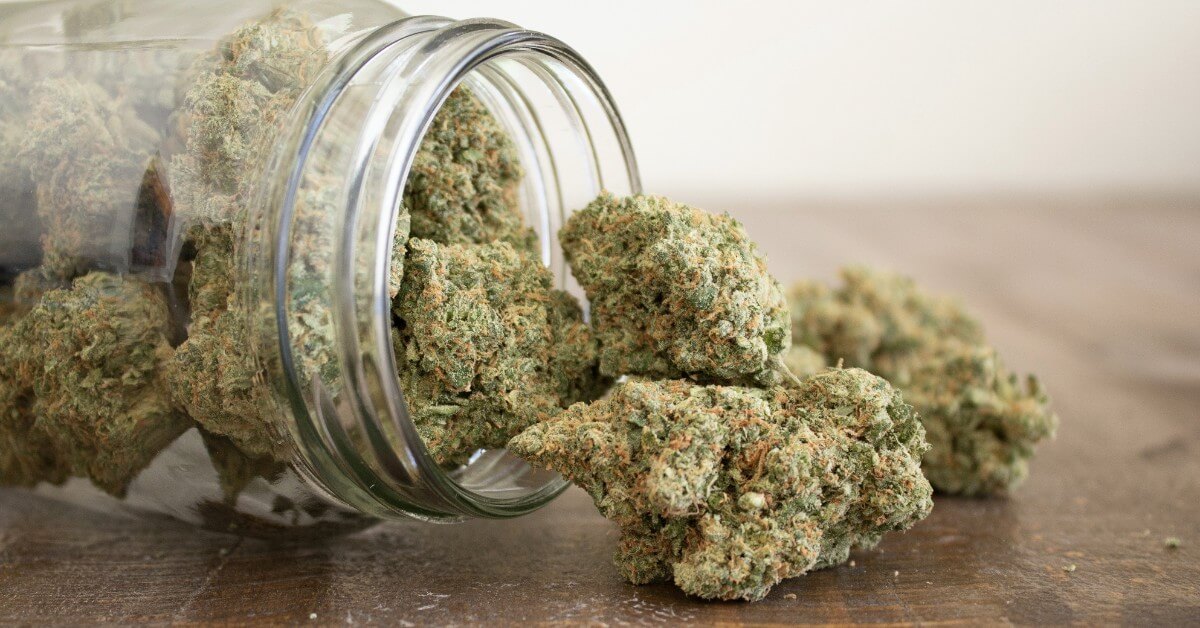 Pot Dispensary