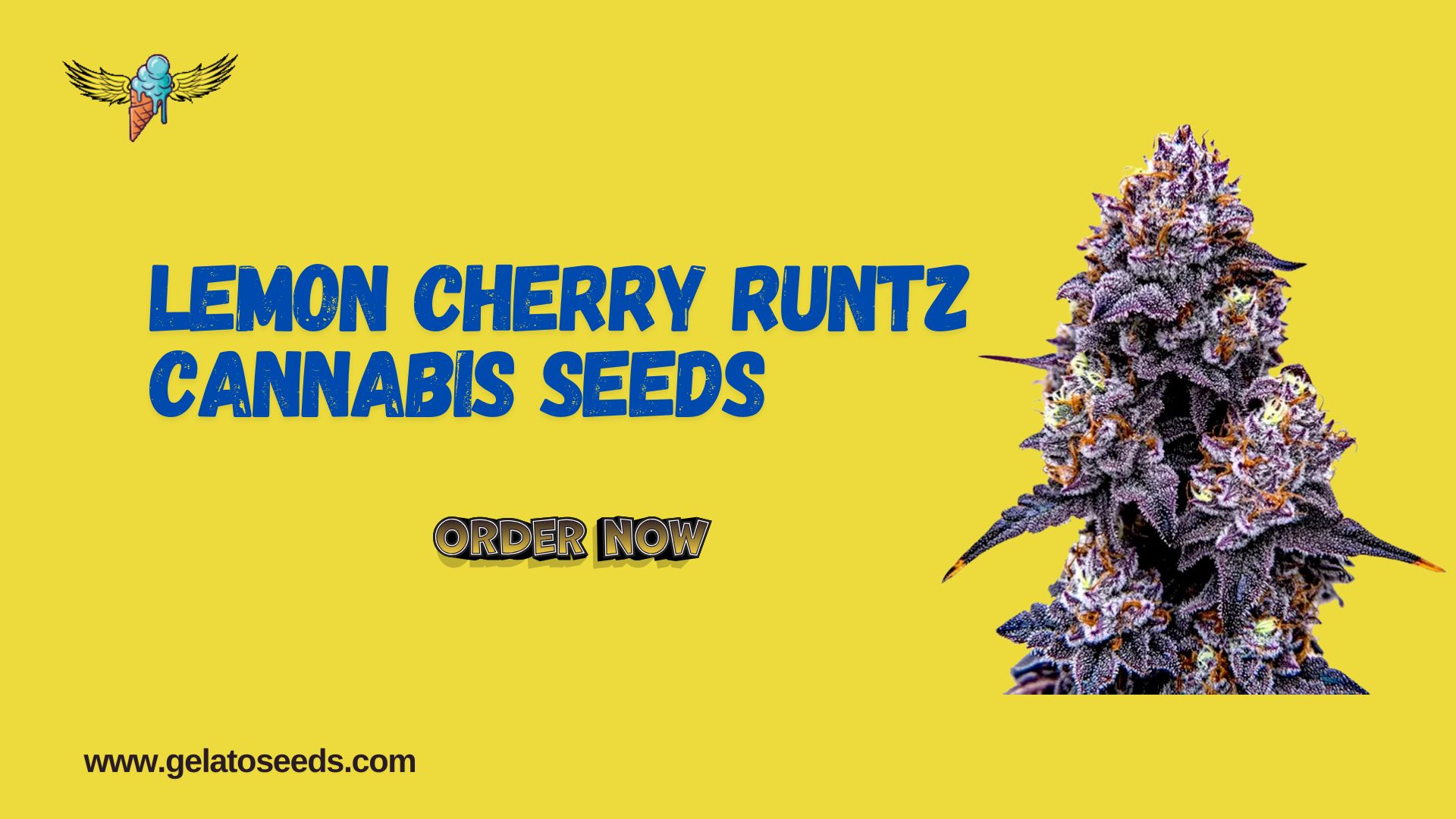 Lemon Cherry Runtz Cannabis Seeds