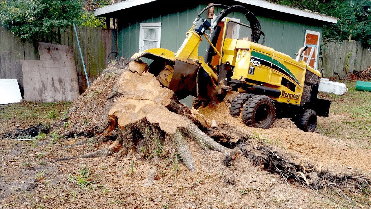 Tree Stump Removal